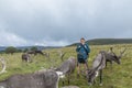 Cairngorm mountains, United Kingdom - July 27, 2019: The Cairngorm Reindeer Herd is Britain`s only free-ranging herd of reindeer