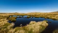 Cairngorms National Park summer landscape, Scotland.