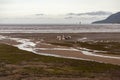 Cairns beach with pelican birds and seagulls on a sandy ground, Queensland, Australia Royalty Free Stock Photo