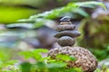 Cairns in the forest Royalty Free Stock Photo