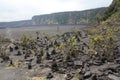 Cairns and plants on the floor of the Iki Crater on Kilauea at the beginning of the trail crossing the crater