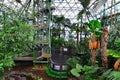 Cairns Zoom & Wildlife Dome in Queensland Australia