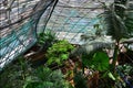 Cairns Zoom & Wildlife Dome in Queensland Australia