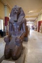 Ancient Egyptian exhibits from museum of Egyptian antiquities in Cairo Royalty Free Stock Photo
