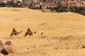 Tourists riding camels on Giza plateau against cityscape of Cairo Royalty Free Stock Photo