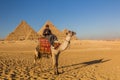 CAIRO, EGYPT - JANUARY 28, 2019: Camel rider in front of the Great pyramids of Giza, Egy Royalty Free Stock Photo