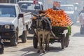 CAIRO, EGYPT - JANUARY 29, 2019: Donkey pulled orange cart at El-Khayamiya (Tentmakers) street in Cairo, Egy