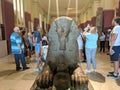 Cairo, Egypt - September 30, 2021: Statue of the sphinx of Hatshepsut from the time of ancient Egypt in the Cairo National Museum