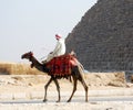 Cairo / Giza, Egypt - May 7, 2008 - Camel rider in the desert of Sahara. Bedouin and camel near the Pyramids. Royalty Free Stock Photo