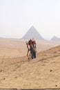 Picture of a bedouin and his camel near the Pyramids of Giza on a beautiful sunny day Royalty Free Stock Photo