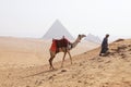 Picture of a bedouin and his camel near the Pyramids of Giza on a beautiful sunny day Royalty Free Stock Photo