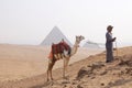 Picture of a bedouin and his camel near the Pyramids of Giza on a beautiful sunny day Royalty Free Stock Photo