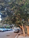 Cairo, 24 January 2021 - Car park in the Hay Asyir area