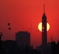 egypt cairo tower sunset birds Royalty Free Stock Photo