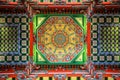 Caisson Ceiling of Nanjing Museum Royalty Free Stock Photo