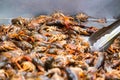 Cajun Crawfish Boil ready to eat some southern Crawdads Royalty Free Stock Photo