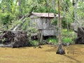 Cajun Fishing Shack Royalty Free Stock Photo