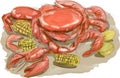 Cajun Seafood Watercolor Royalty Free Stock Photo