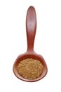 Cajun Seasoning in Spoon