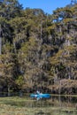 Cajun Swamp & Lake Martin, near Breaux Bridge and Lafayette Louisiana Royalty Free Stock Photo