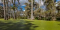 Cajun Swamp & Lake Martin, near Breaux Bridge and Lafayette Louisiana Royalty Free Stock Photo