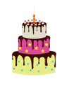 Big birthday cake Royalty Free Stock Photo