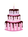 Big birthday cake Royalty Free Stock Photo