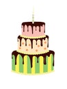 Big birthday cake Royalty Free Stock Photo