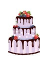 Big birthday cake with forest fruits Royalty Free Stock Photo