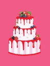 Big birthday cake with forest fruits Royalty Free Stock Photo