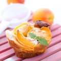 Cake with apricots Royalty Free Stock Photo