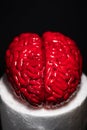 Cake art concept image, brain from sugar paste. Sugar art. Close up of Human brain Anatomical Model. Royalty Free Stock Photo