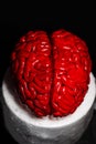 Cake art concept image, brain from sugar paste. Sugar art. Close up of Human brain Anatomical Model. Royalty Free Stock Photo
