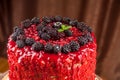 Cake baked from a sponge cake, decorated with ripe juicy blackberries, black raspberries, close