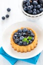 Cake with bilberries Royalty Free Stock Photo
