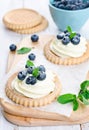 Cake with bilberries Royalty Free Stock Photo
