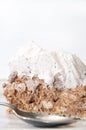 Cake with biscuits and chocolate on white plate Royalty Free Stock Photo