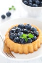 Cake with blueberries Royalty Free Stock Photo