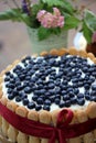 Cake with blueberries Royalty Free Stock Photo