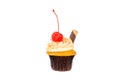 Cake, cherry chocolate cupcake Royalty Free Stock Photo