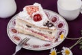 Cake with cherry with cup of milk Royalty Free Stock Photo