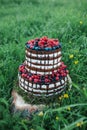 Cake or confectionery for a birthday or a holiday or a party. Cake with berries, strawberry, raspberry, blueberry