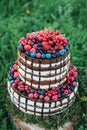 Cake or confectionery for a birthday or a holiday or a party. Cake with berries, strawberry, raspberry, blueberry