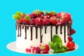 Cake covered with berries of raspberry strawberry pomegranate mint leaves doused with chocolate on an isolated blue background.