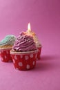 cake cupcake basket with a cap of cream pink lilac with a burned candle. Anniversary 1 year holiday birthday with space