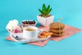 Cake, cups with coffee, cookies on a bright background