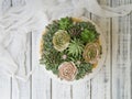 Cake decorated with creamy succulents on a wooden background with white fabric. Copy space, close up, top view Royalty Free Stock Photo