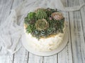 Cake decorated with creamy succulents on a wooden background with white fabric. Copy space, close up, top view Royalty Free Stock Photo