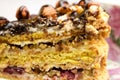 Cake with hazelnuts and chocolate - texture