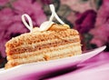 Cake Napoleon slice Royalty Free Stock Photo